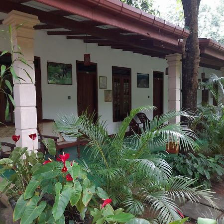 Sigiri Jungle Villa Sigiriya Eksteriør bilde