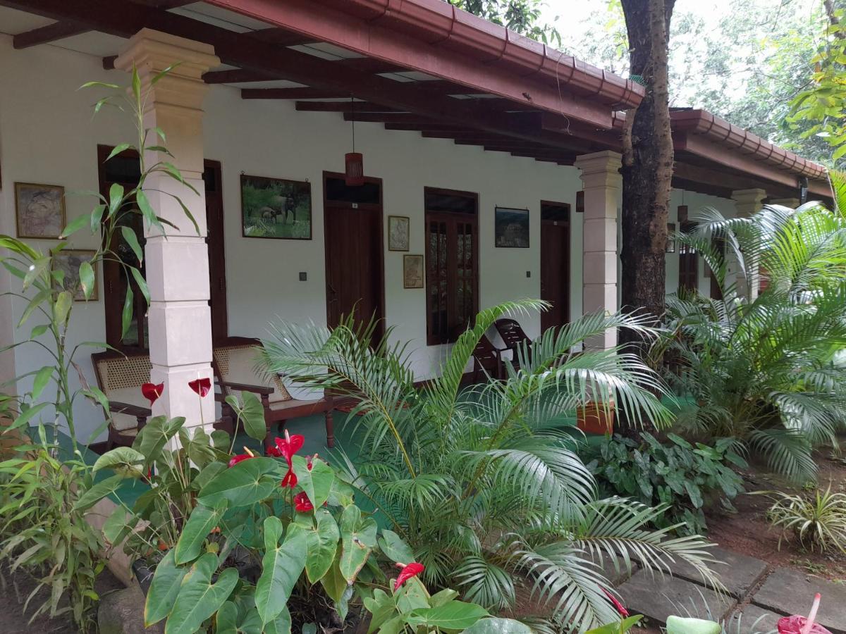 Sigiri Jungle Villa Sigiriya Eksteriør bilde