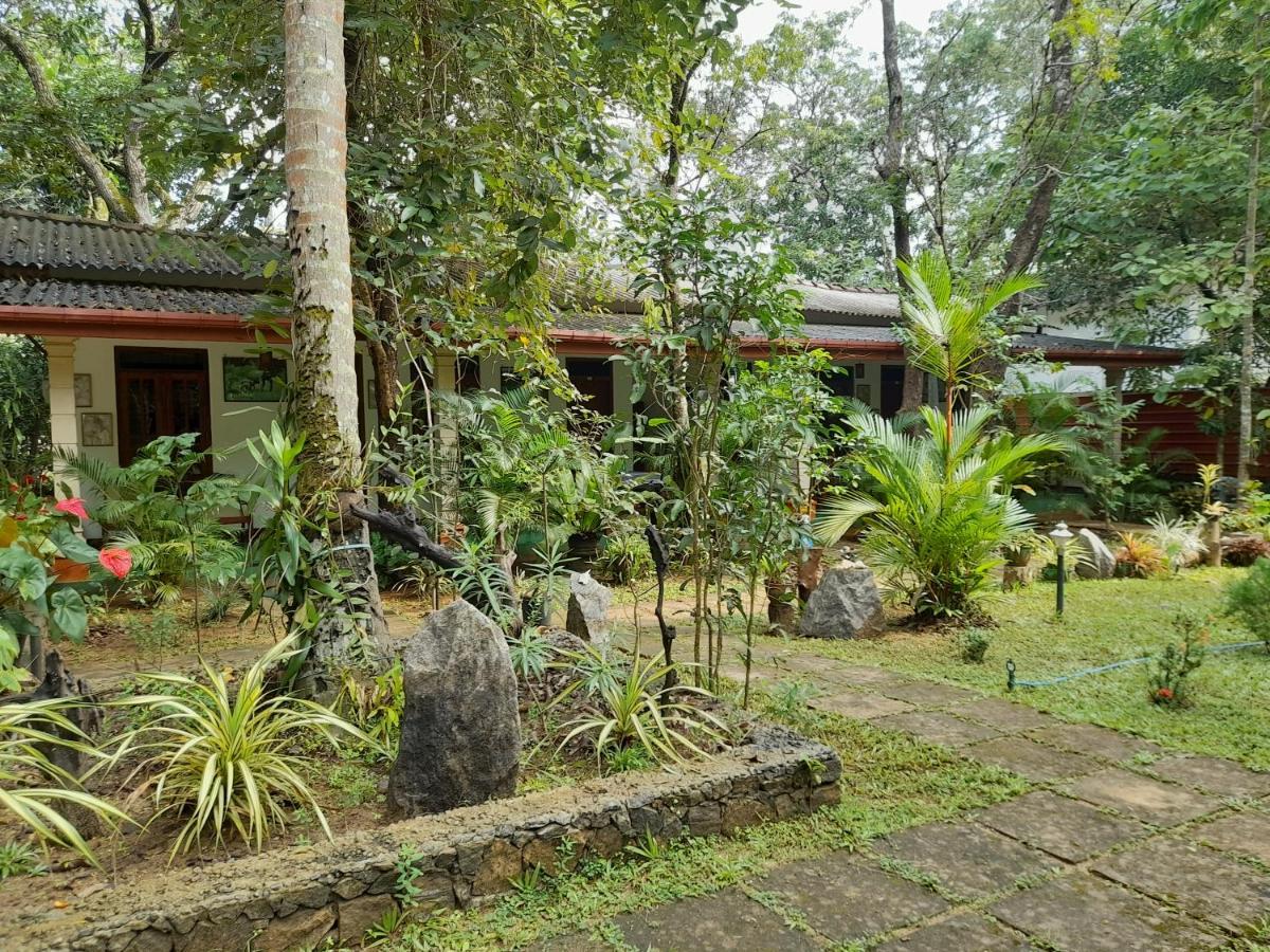Sigiri Jungle Villa Sigiriya Eksteriør bilde