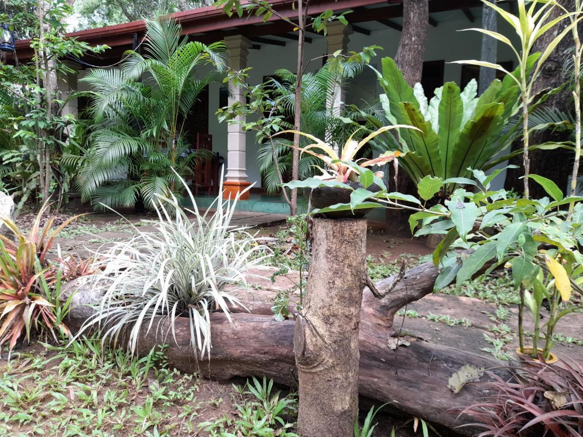 Sigiri Jungle Villa Sigiriya Eksteriør bilde