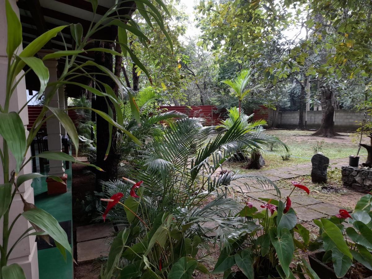 Sigiri Jungle Villa Sigiriya Eksteriør bilde