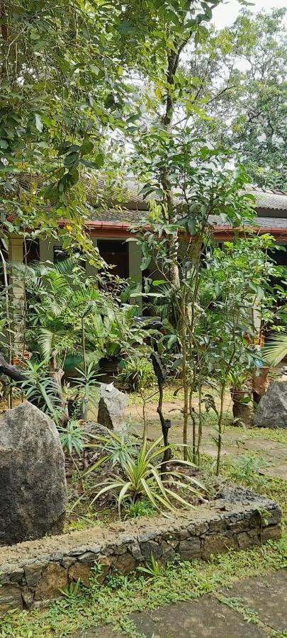Sigiri Jungle Villa Sigiriya Eksteriør bilde